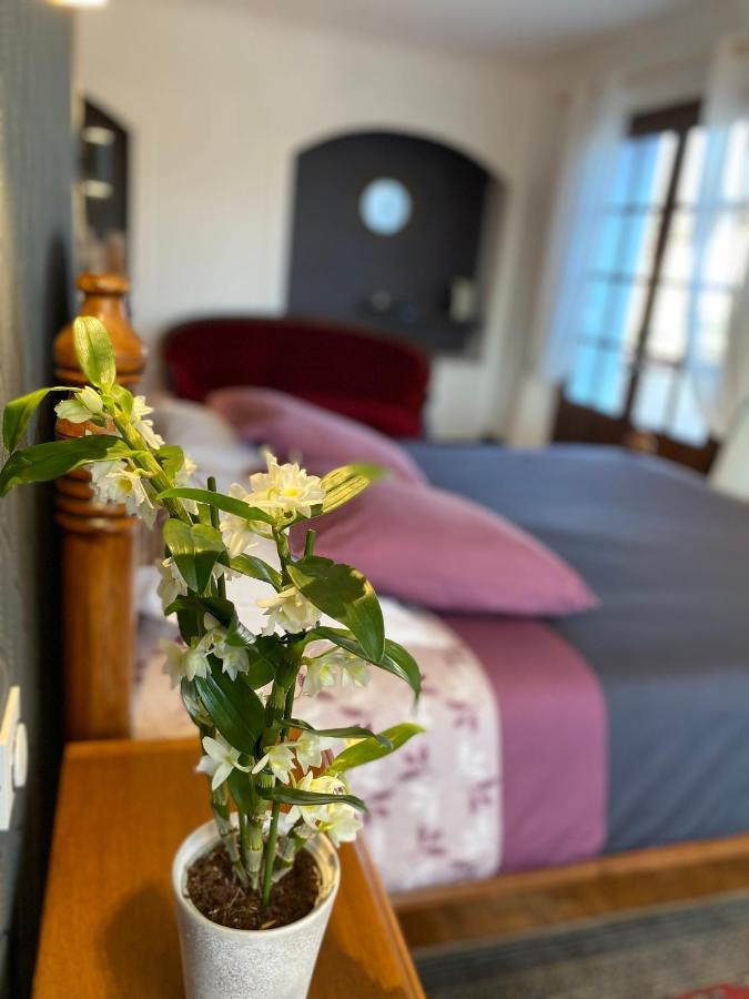 Domaine De La Provencale Bed & Breakfast Saint-Didier-de-la-Tour ภายนอก รูปภาพ