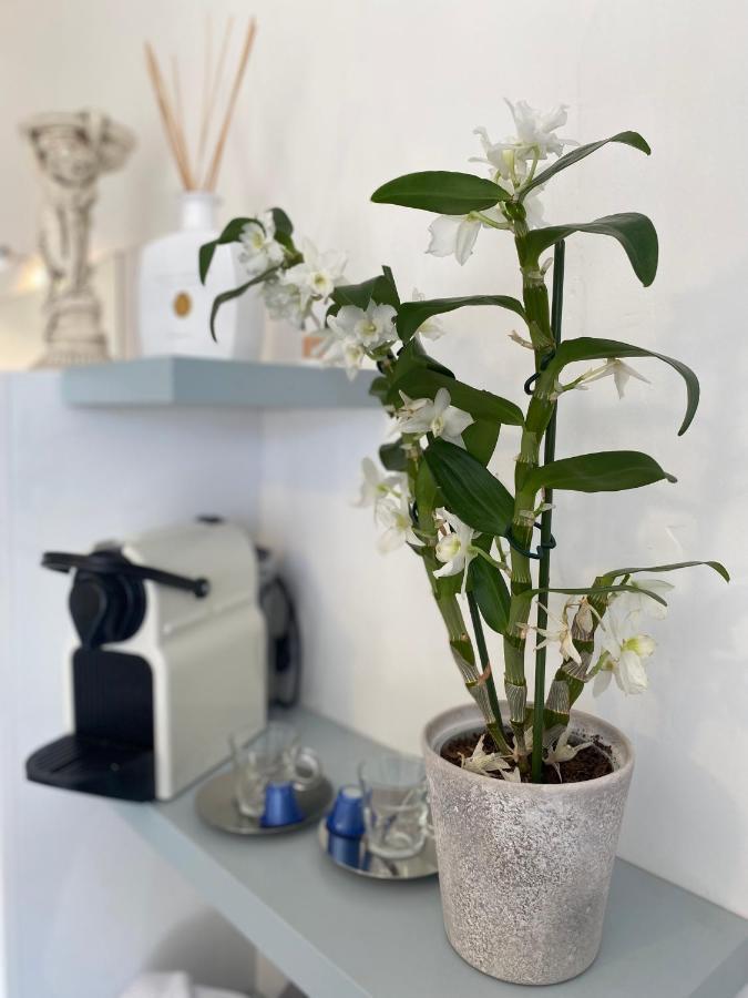 Domaine De La Provencale Bed & Breakfast Saint-Didier-de-la-Tour ภายนอก รูปภาพ